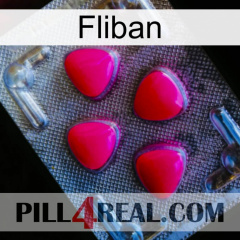 Fliban 13